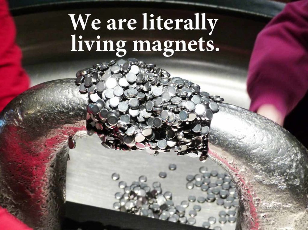 Living Magnets